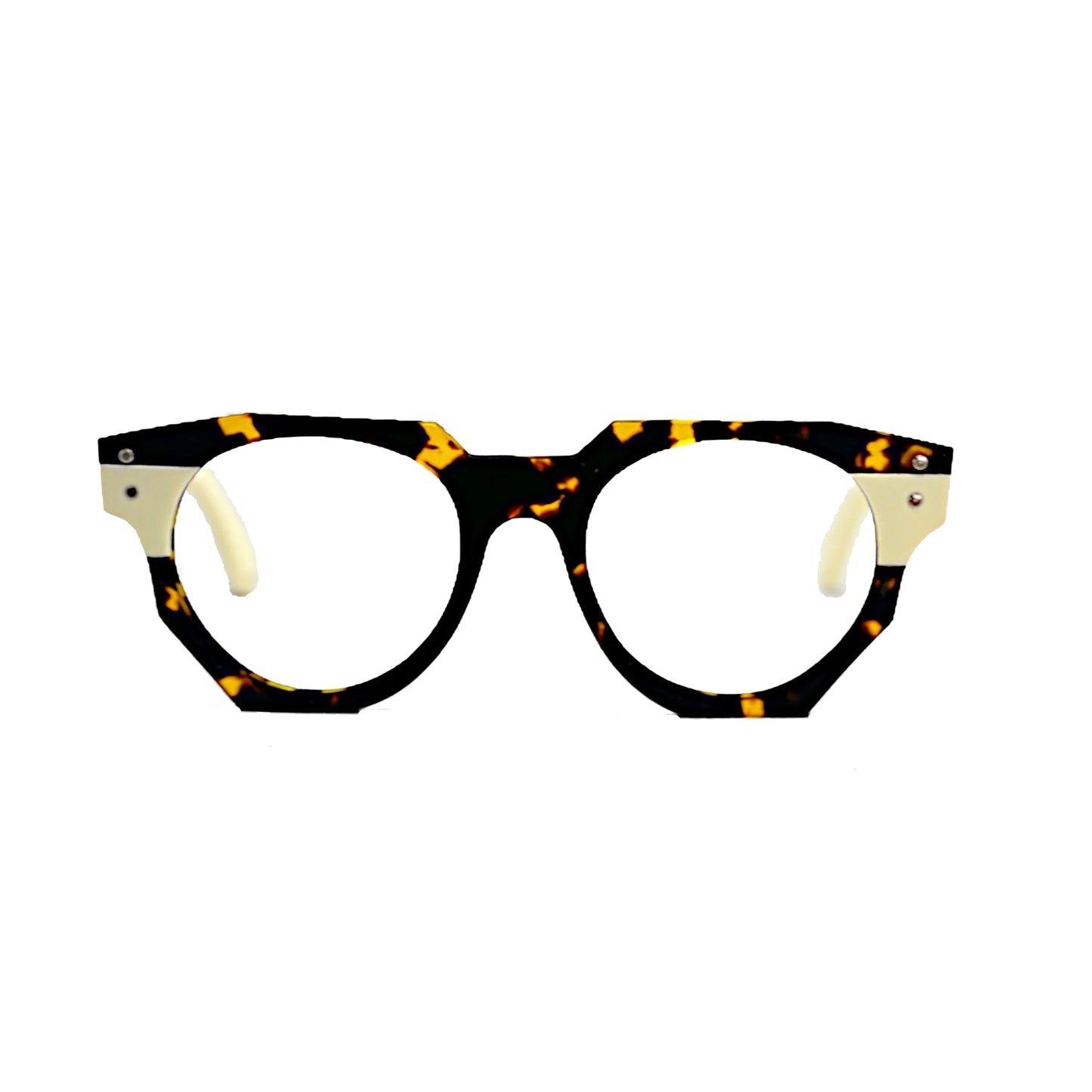 Frank Seed Crocus Custom Made Frame