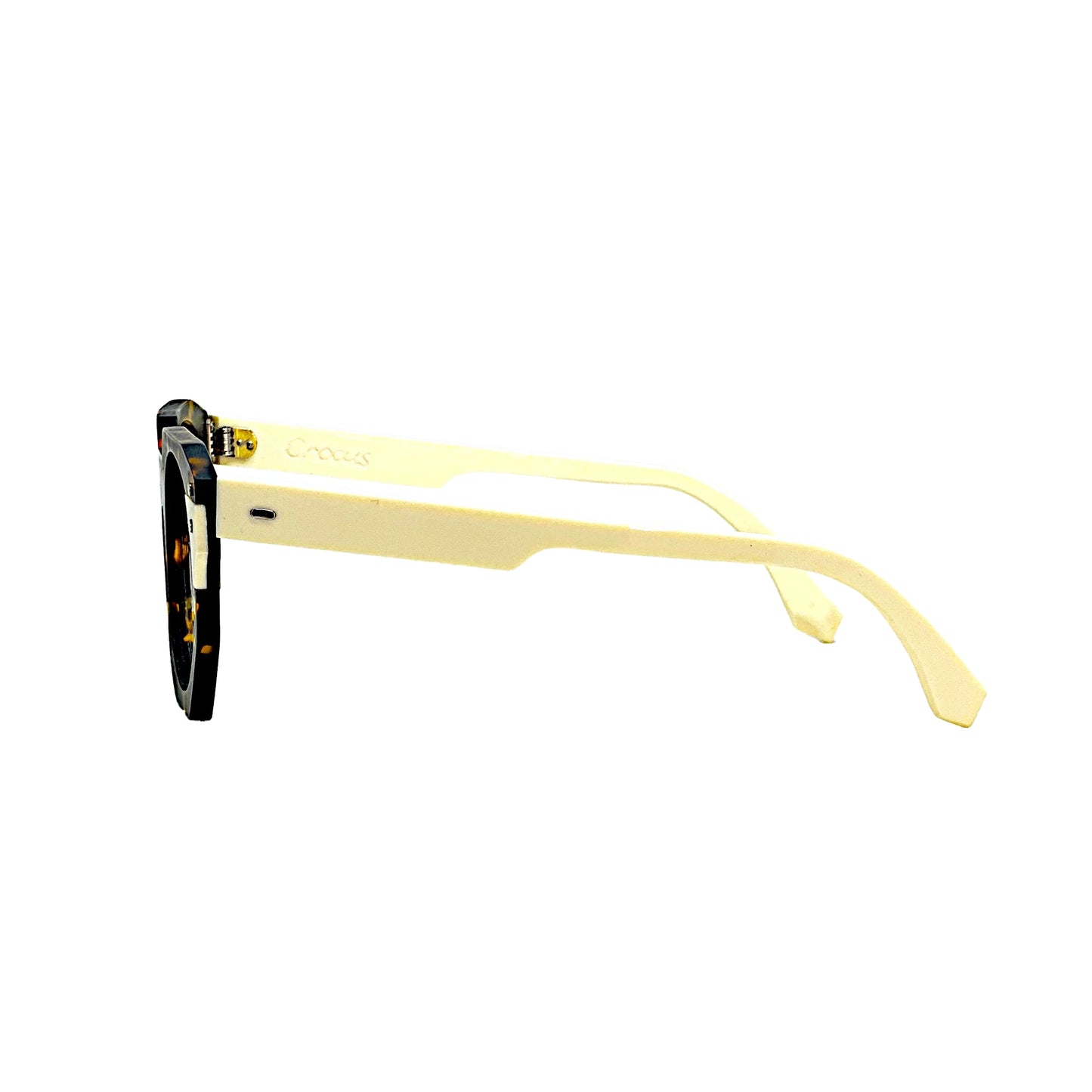 Frank Seed Crocus Custom Made Frame