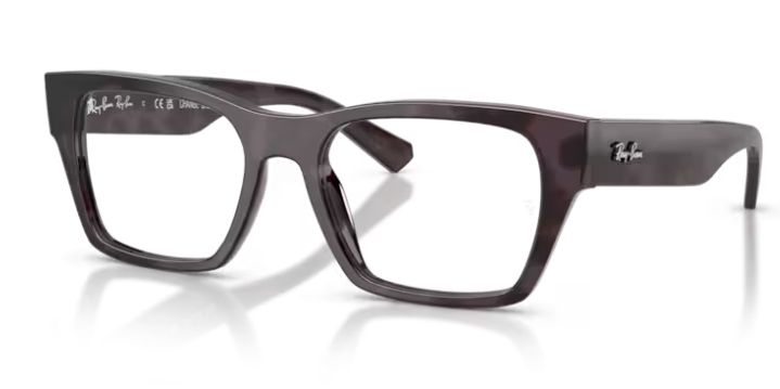 Ray-Ban Wayfarer Change 5448 – Authentic Brand Certified