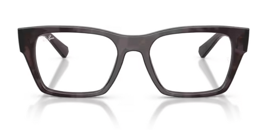 Ray-Ban Wayfarer Change 5448 – Authentic Brand Certified