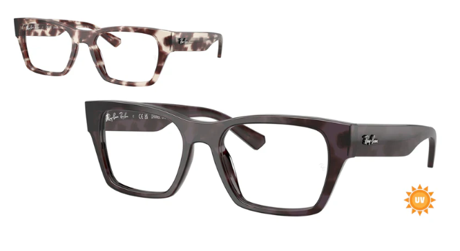 Ray-Ban Wayfarer Change 5448 – Authentic Brand Certified